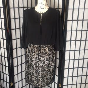 Enfocus gorgeous black dress